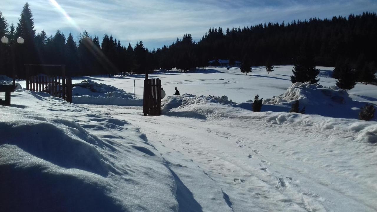 Nova VarošSmestaj U Novoj Varosi, Zlatarアパートメント エクステリア 写真